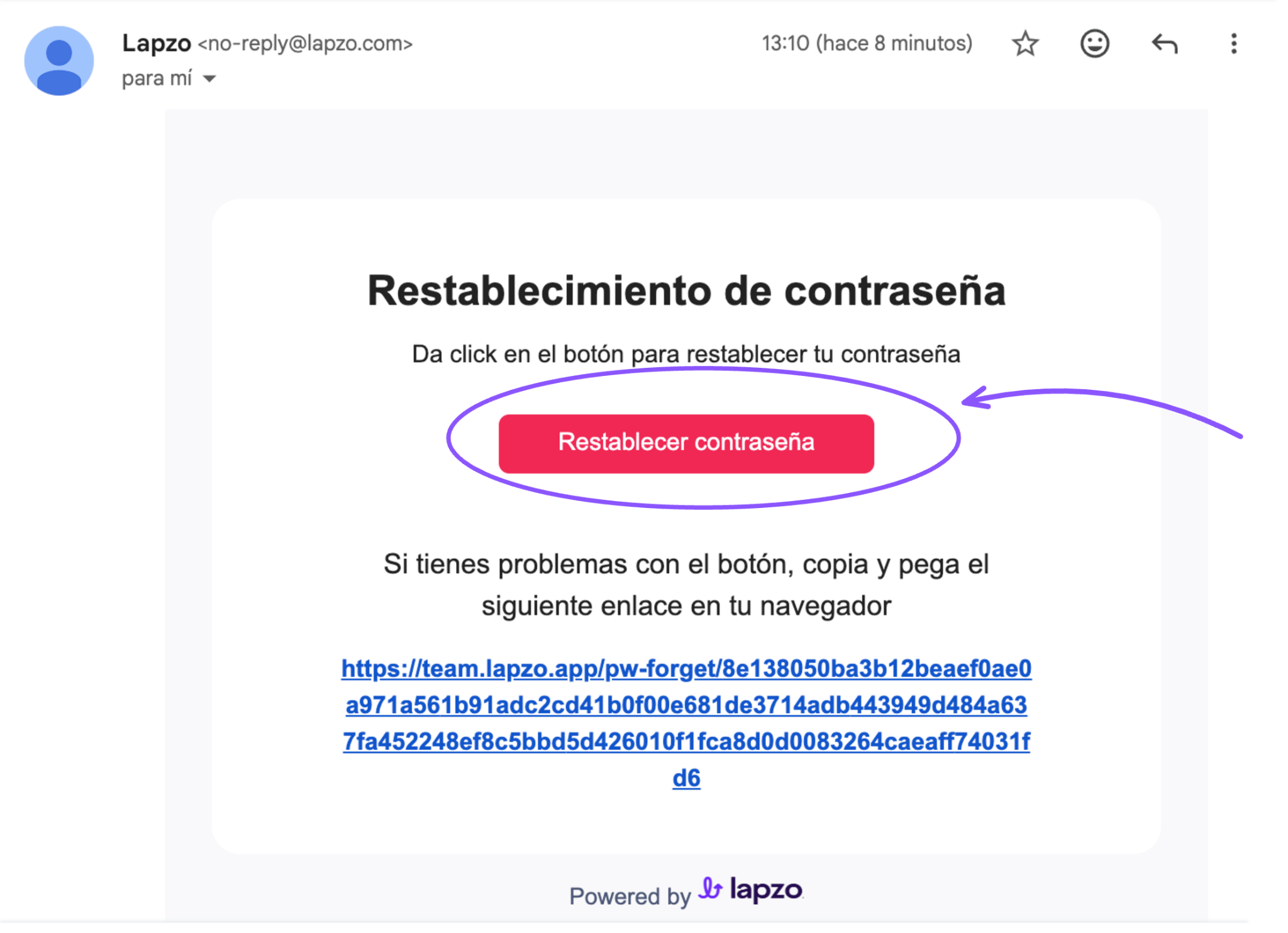 Cómo recuperar o restablecer la contraseña desde APP y Web - paso 3