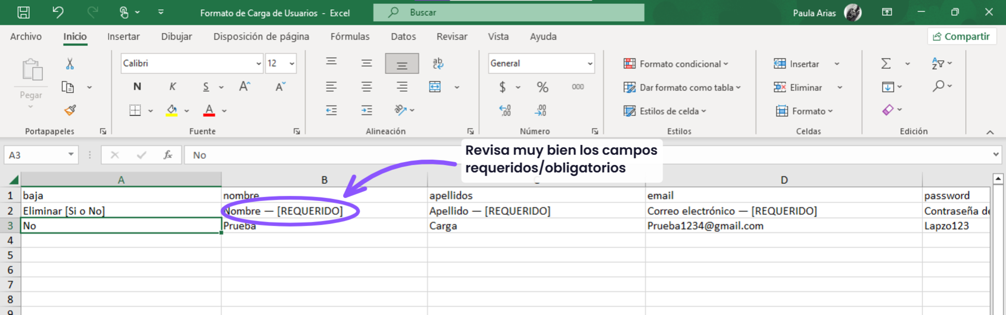 Cómo descargar y completar la plantilla de carga masiva - paso 4